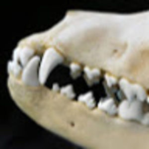 Meet your Posher, Katy